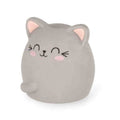 Gomma Profumata - Meow