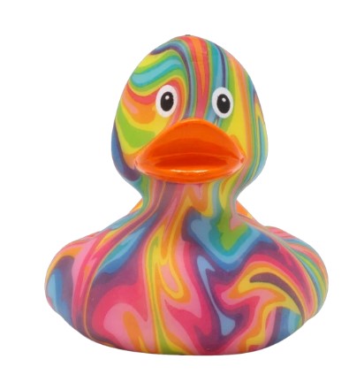 GROOVY DUCK