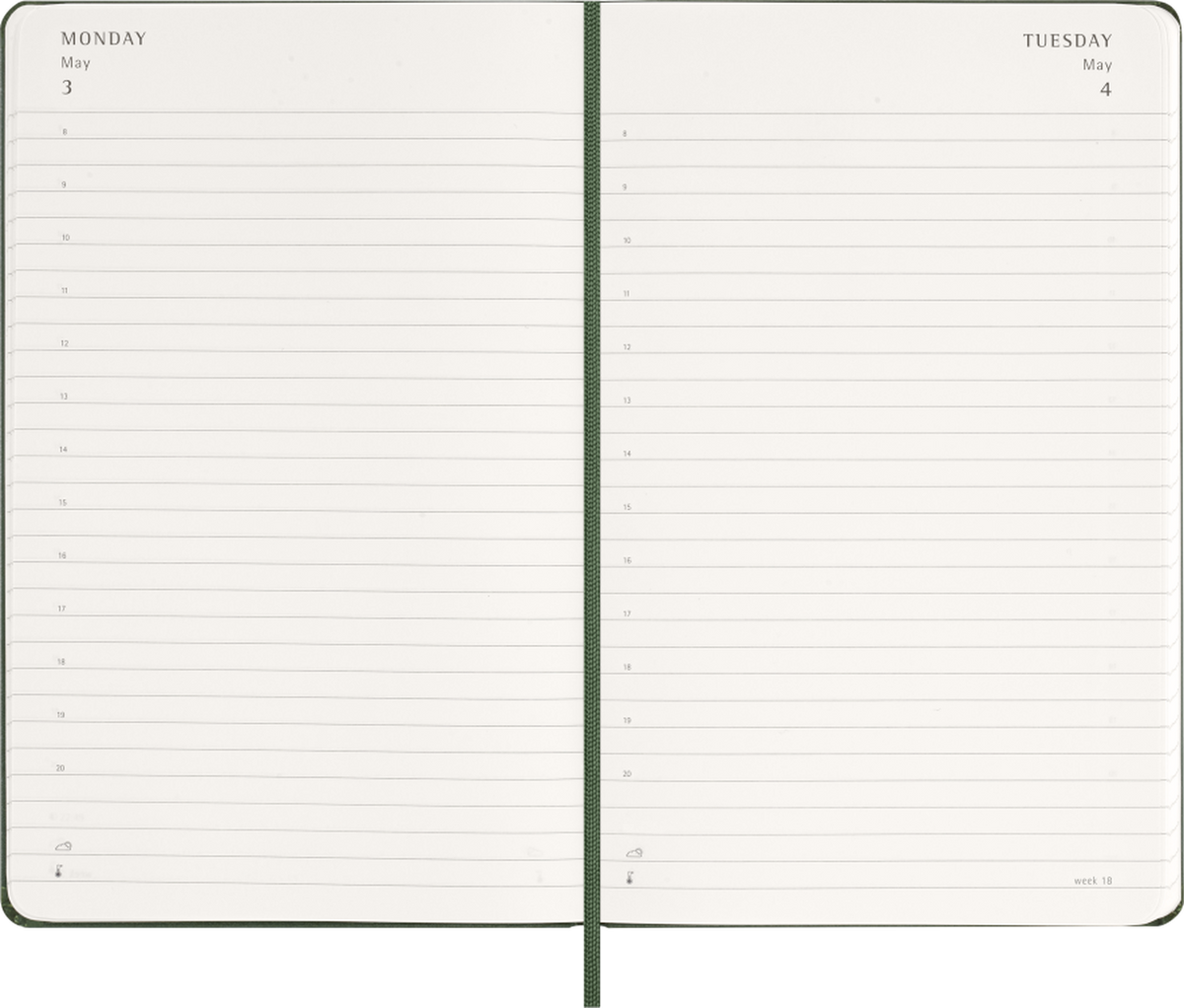 Moleskine Agenda Giornaliera 2027 12 Mesi Large Copertina Rigida Myrtle Green