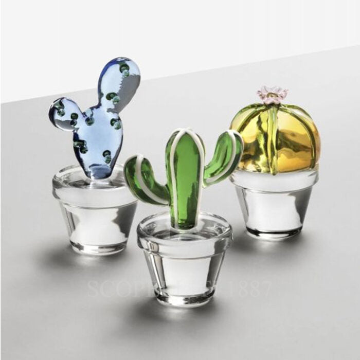 Ichendorf Milano Desert Plants Fermacarte Cactus Blu