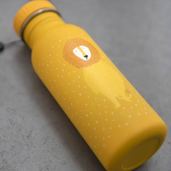 TRIXIE - Bottle 500ml - Mr. Lion