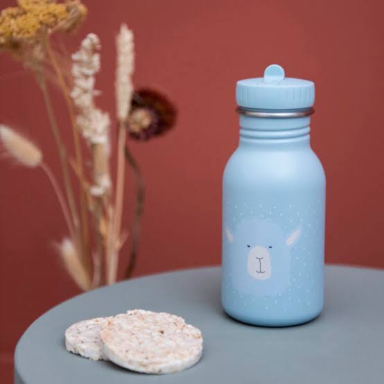 Bottle 350ml - Mr. Alpaca