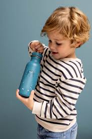 TRIXIE - Bottle 500ml - Mr. Triceratopos