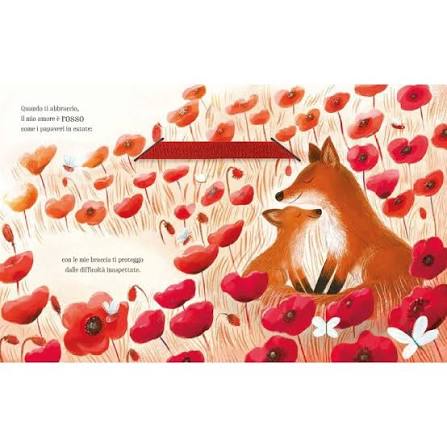 SASSI - PICTURE BOOKS - TUTTI I COLORI DEL MIO AMORE
