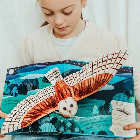 SASSI - PICTURE BOOKS - POP UP DELLA NATURA. ILMONDO DEGLI UCCELLI