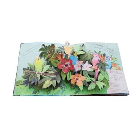 SASSI - PICTURE BOOKS - POP UP DELLA NATURA. ILMONDO DEGLI UCCELLI