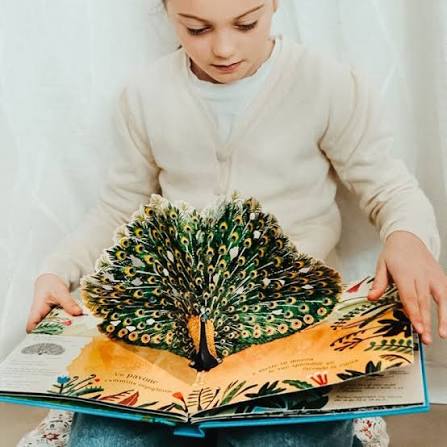 SASSI - PICTURE BOOKS - POP UP DELLA NATURA. ILMONDO DEGLI UCCELLI
