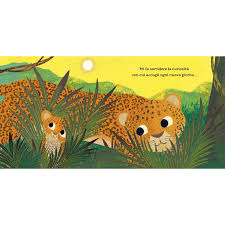 SASSI - PICTURE BOOKS - AMORE DI ZIA