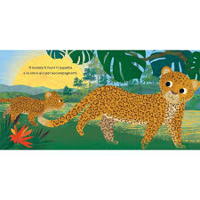 SASSI - PICTURE BOOKS - AMORE DI ZIA