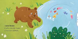 BOARD BOOKS - SLIDER - BOSCO G. PESAVENTO,
G. DRAGONE