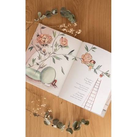 SASSI - PICTURE BOOKS - LA BACERIA DI FELICE