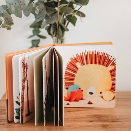 SASSI - R. Marcolin, V. Manuzzato BOARD BOOKS - SUPER LAB - CHOMPY E IL CORAGGIO