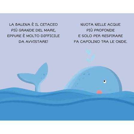 Sassi My First Library – Il Mare