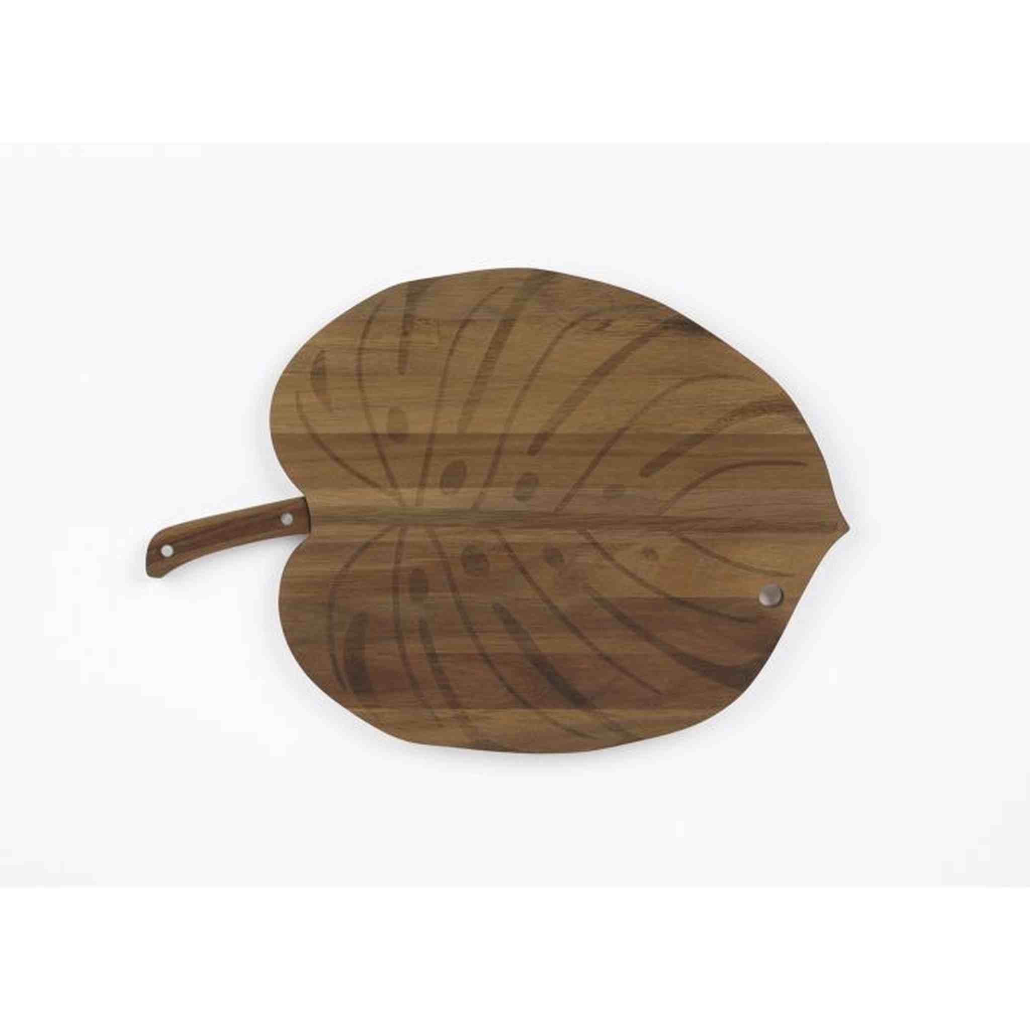 MONSTERA BOARD