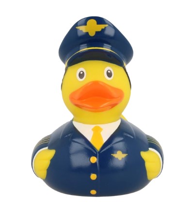 PILOT DUCK