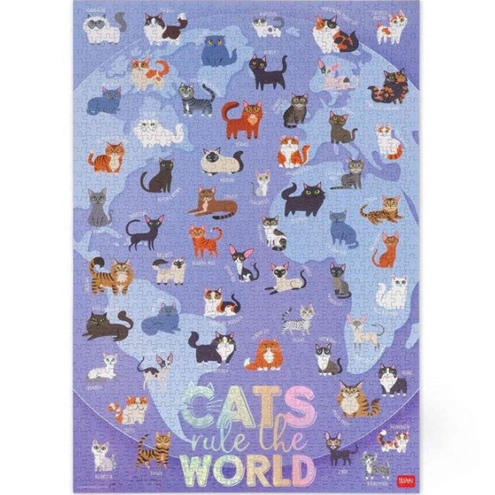 PUZZLE 1000 PEZZI - KITTY