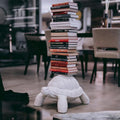 QEEBOO - Turtle Carry Bookshelf White