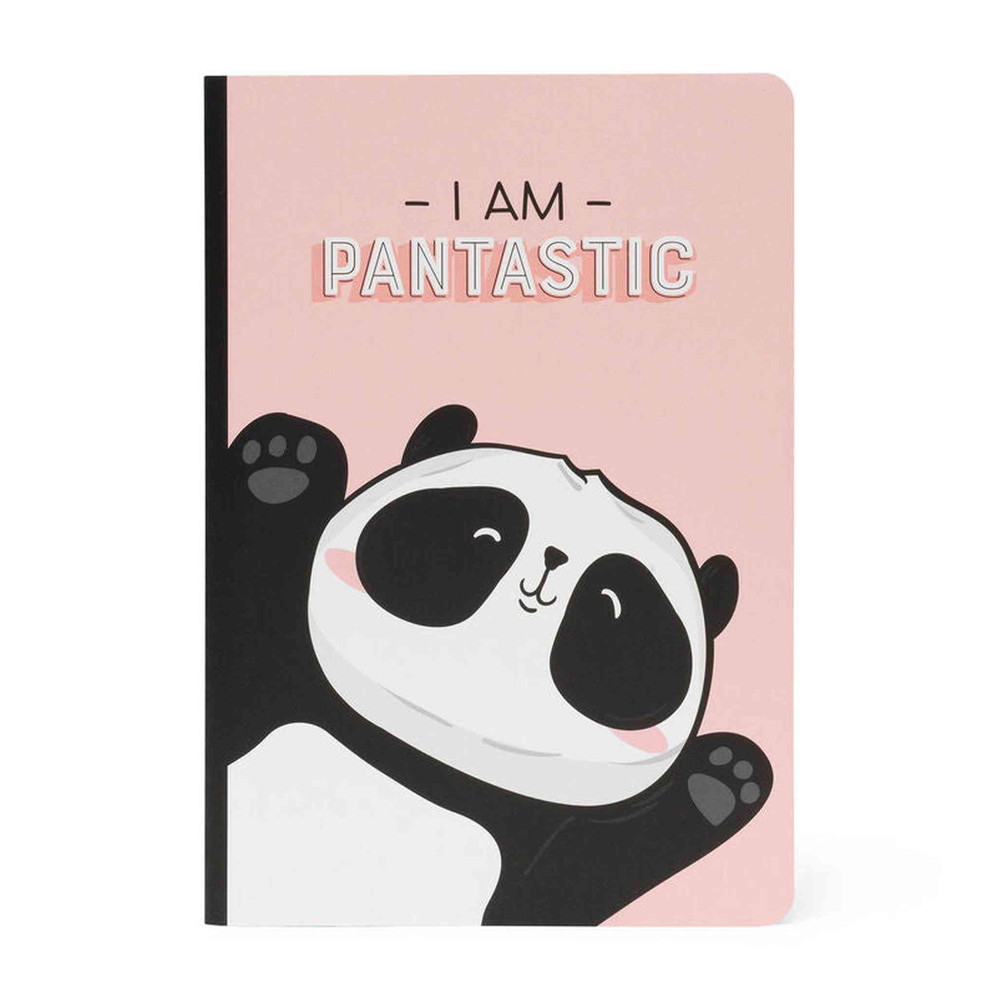 QUADERNO FOGLIO A5 A RIGHE -PANTASTIC