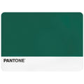 PANTONE Tovaglietta 45x30 cm in PP Rainforest