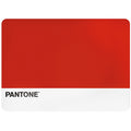 PANTONE Tovaglietta 45x30 cm in PP Barn Red