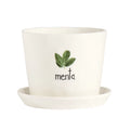 Simple Day Vaso in Gres Porcellanato con Sottovaso 15x12,5 cm - Menta