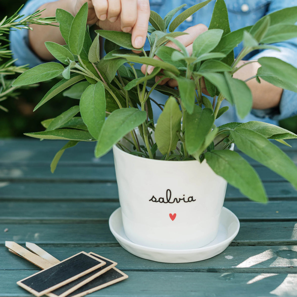 Simple Day Vaso in gres bianco Salvia Cuore con sottovaso Ø 15 x h 12,5 cm