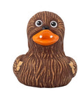 WHOOPING DUCK