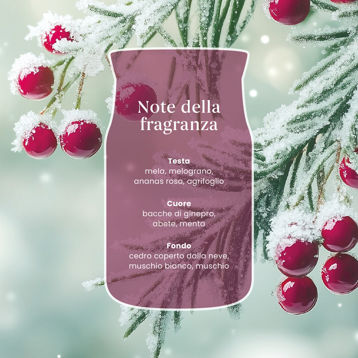 Yankee Candle Sparkling Winterberry – Giara Media Signature